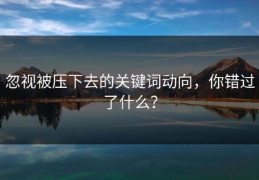忽视被压下去的关键词动向，你错过了什么？