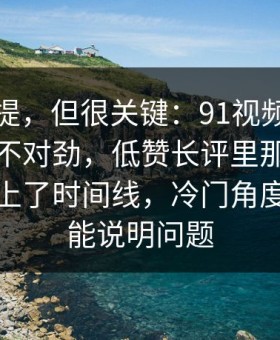 少有人提，但很关键：91视频回看时才发现不对劲，低赞长评里那段内容突然对上了时间线，冷门角度反而更能说明问题