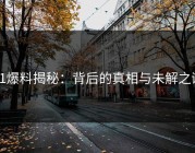 91爆料揭秘：背后的真相与未解之谜