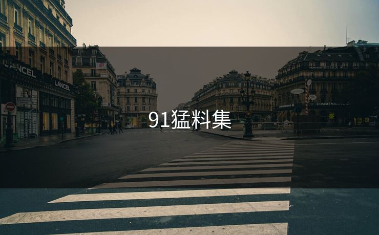 91猛料集